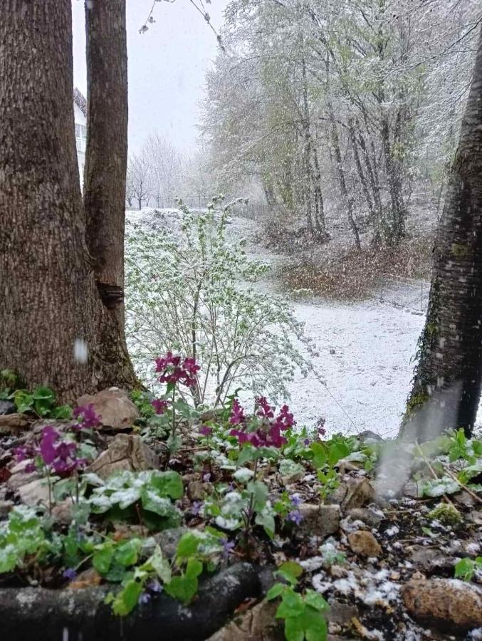 Вилла Plitvice Oaza Mira Смолянац Экстерьер фото